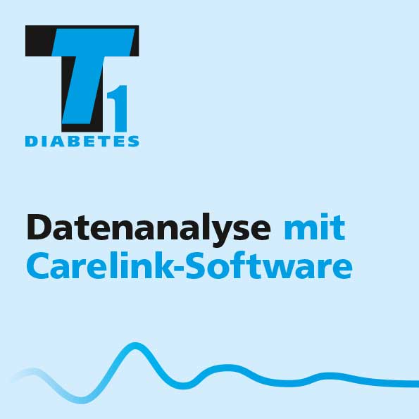 1 Datenanalyse Carelink Software